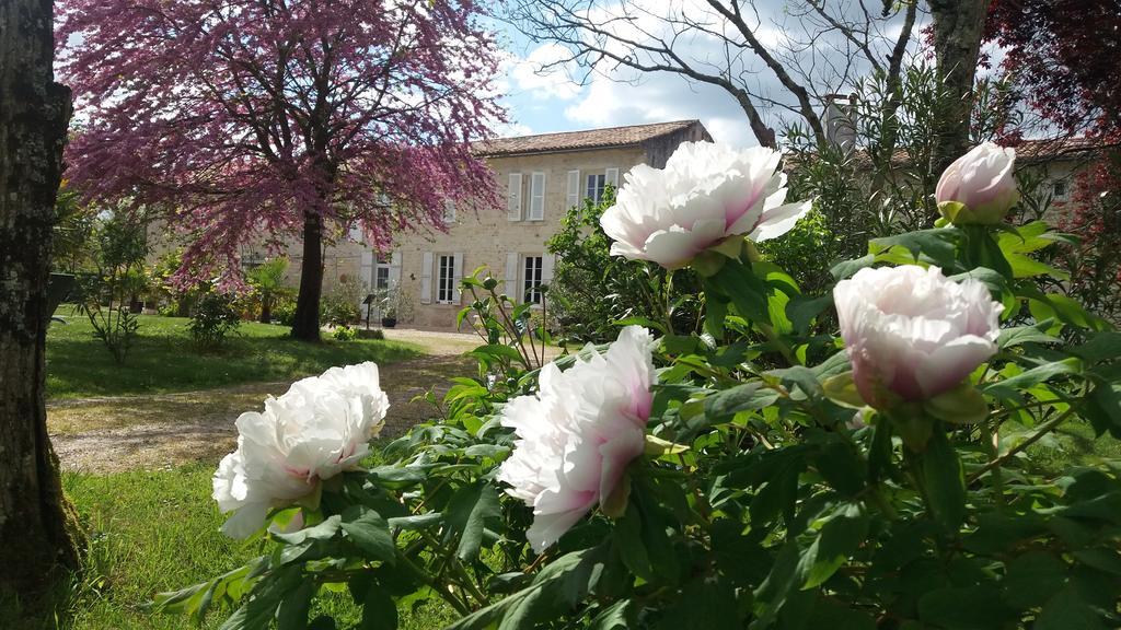 Bed and Breakfast Domaine Du Papillon Lesparre-Médoc Exterior foto